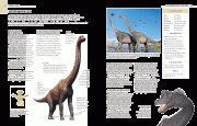 EnciclopediaDinosauriosPp56_57