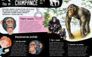Animales 2