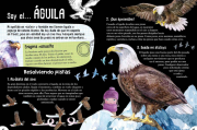 Animales 3