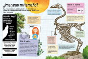 Animales 4