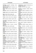 Sinónimos 3