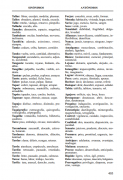 Sinónimos 5