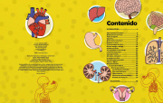 Explora cuerpo humano 1