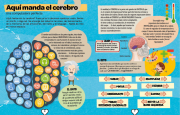 Explora cuerpo humano 2