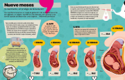 Explora cuerpo humano 5