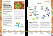 CienciaImprescindiblePp132_133