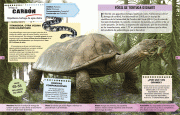 DinosauriosMonstruosPrehistoricosPp44_45