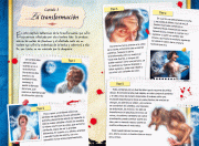 Contenido