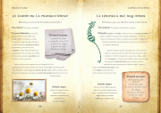 Contenido