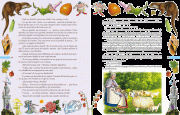 Contenido