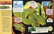 SerpientesReptilesInsolitosPp10_11