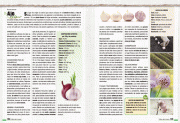 LibroHuertaPp104-105