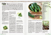 LibroHuertaPp130-131