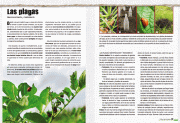 LibroHuertaPp48-49