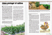 LibroHuertaPp84-85