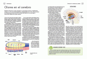 Pagina 48