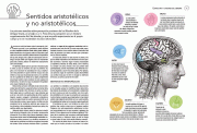 Páginas desdeEstructuraYFuncionesDelCerebro-2