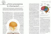 Páginas desdeCerebroConductaYAprendizaje-2-2