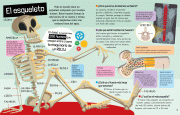 Páginas desdemi gran póster CUERPO HUMANO baja-1