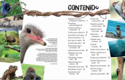 Adaptación animal 1