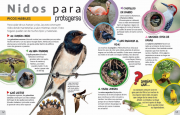 Adaptación animal 3