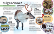 Adaptación animal 4