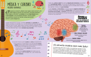 Explora cerebro 6