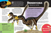 Gran libro dinosaurios 3