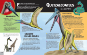 Gran libro dinosaurios 6