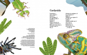 Animales singulares 1