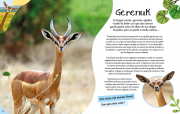 Animales singulares 2