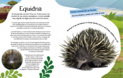Animales singulares 3