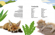 Baby animales 1