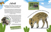 Baby animales 3