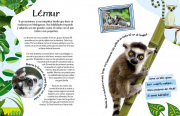 Baby animales 4