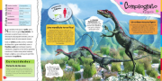 Dinos 3