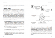 Terapia emocional 4