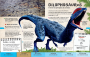 Dinosauriosy animales prehistóricos 2