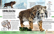 Dinosauriosy animales prehistóricos 6