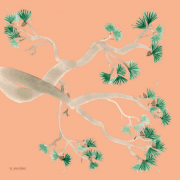 Gyo 4