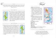 Tarot angeles 4