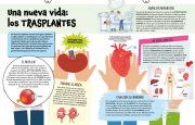 Hechos historia 5