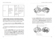 Inteligencias multiples 5