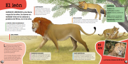 Animales 1