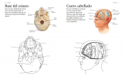Cuerpo humano 3