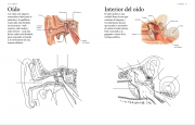 Cuerpo humano 4