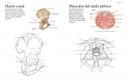 Cuerpo humano 6