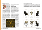 Animales poderes 2