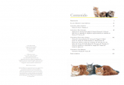 Razas de gatos 1