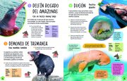 101_animales raros_BAJA-6 101_animales raros_BAJA-6